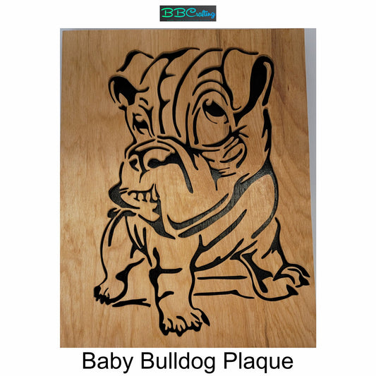 Baby Bulldog