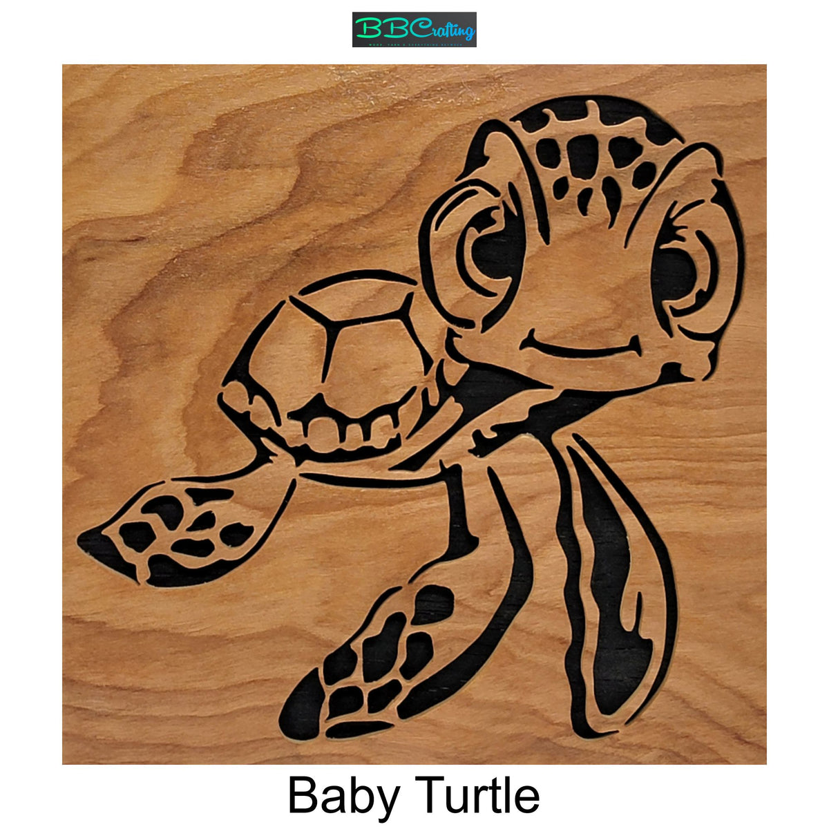 Baby Turtle